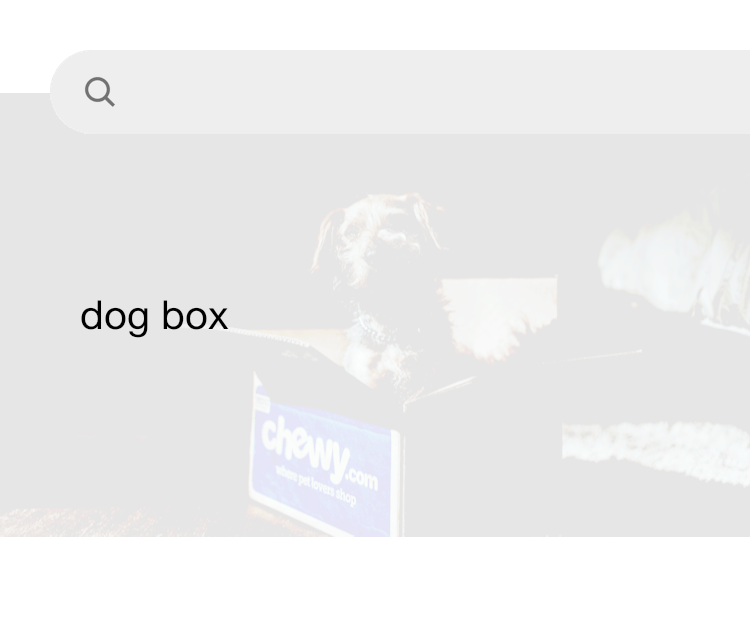 Dog in a sales box