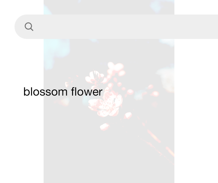 500 Blossom Flower Pictures HD Download Free Images on Unsplash