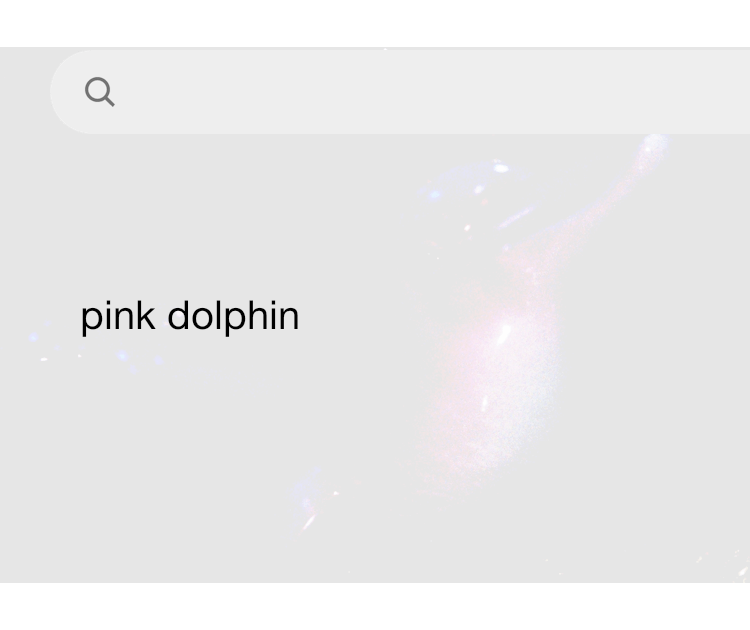 Pink Dolphin Pictures Download Free Images on Unsplash