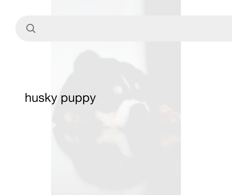 Cute husky top baby