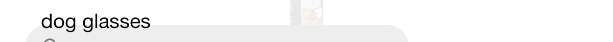 Dog with glasses sales