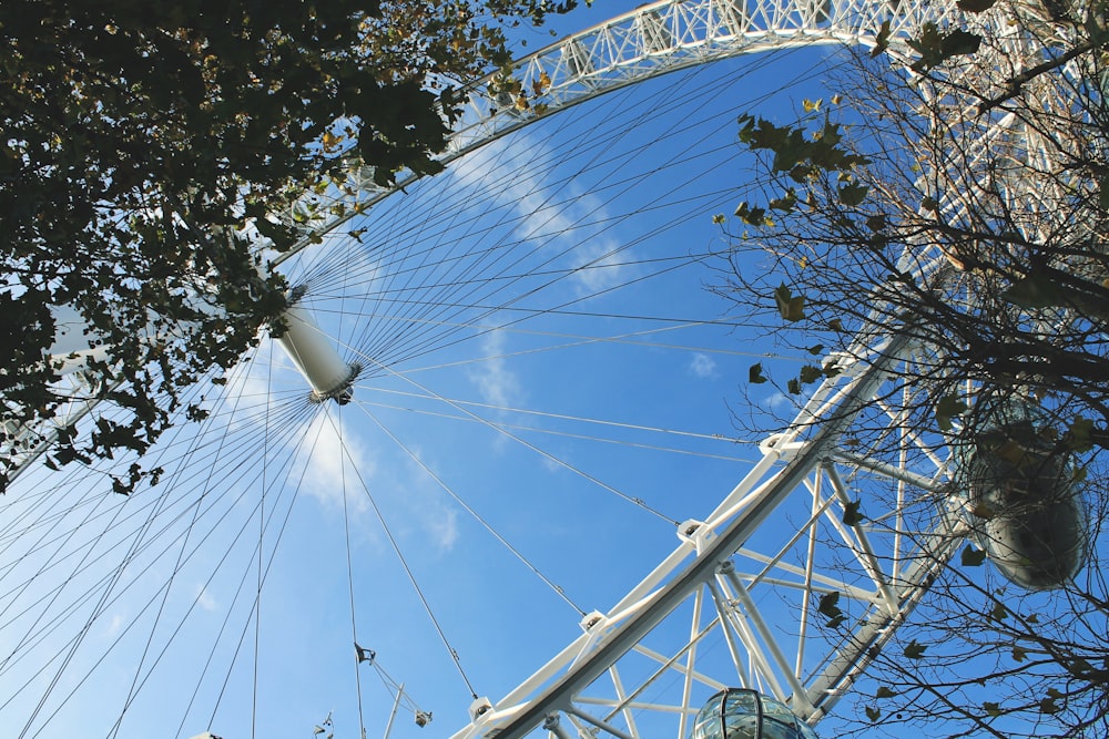 white Ferris wheel