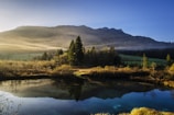 calm lake surrounded by trees near mountain range