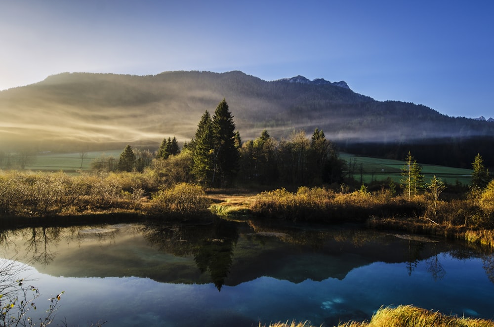 calm lake surrounded by trees near mountain range