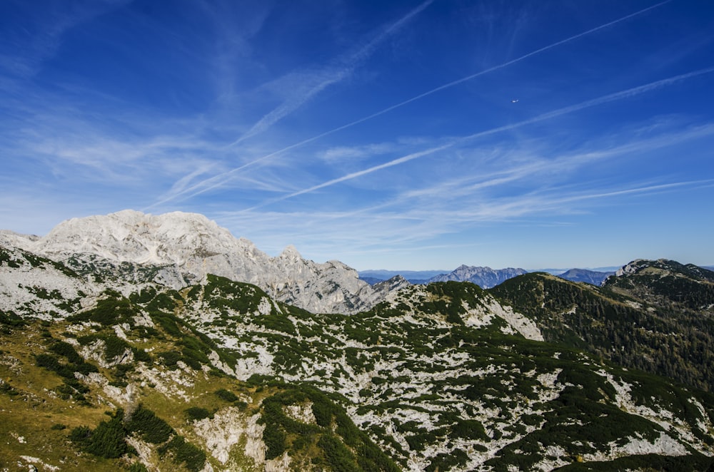 Vista aérea del bosque y la montaña nevada