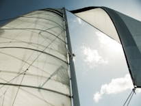white sail boat