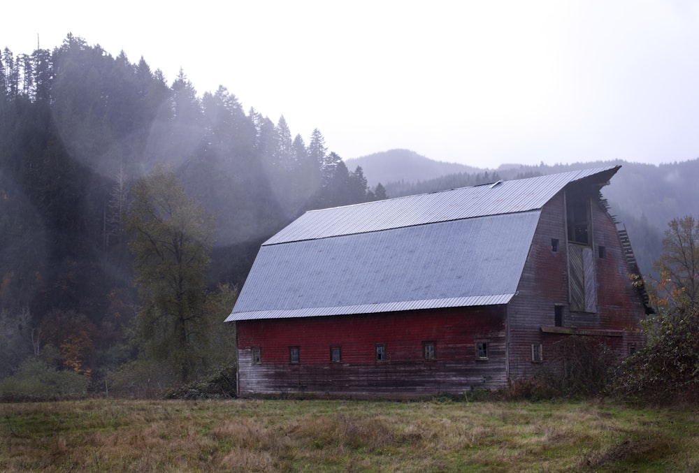 red and gray shed near the forest