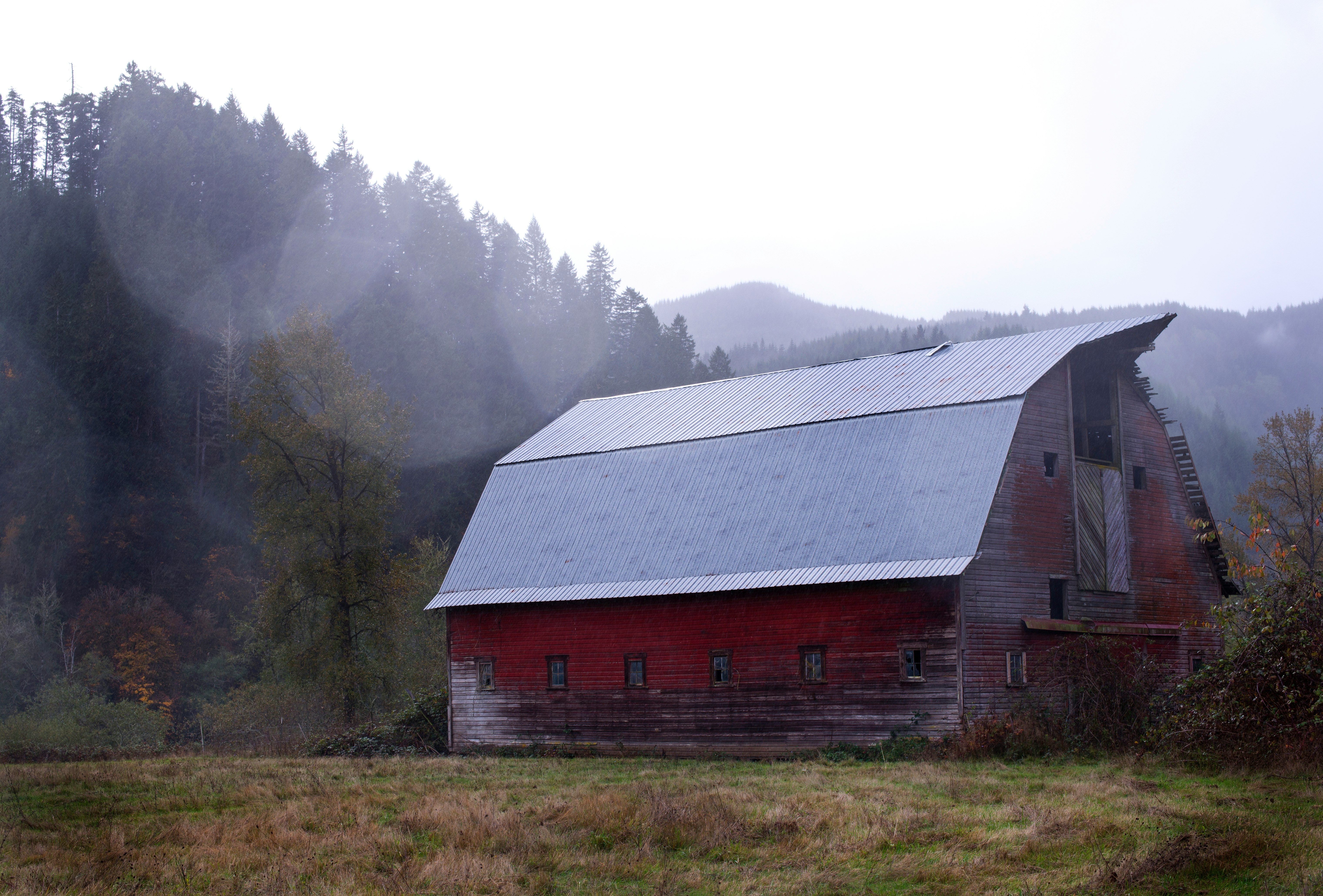 red and gray shed near the forest