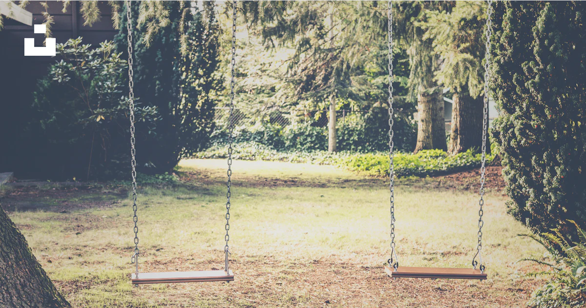 Tree Without Swing Photograph of empty swings between trees photo – Free Swing Image on ...