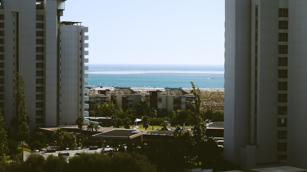 white high rise buildings near beach