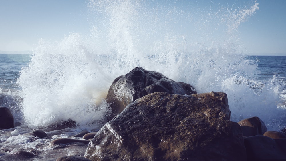 seashore splashed on rock during daytime