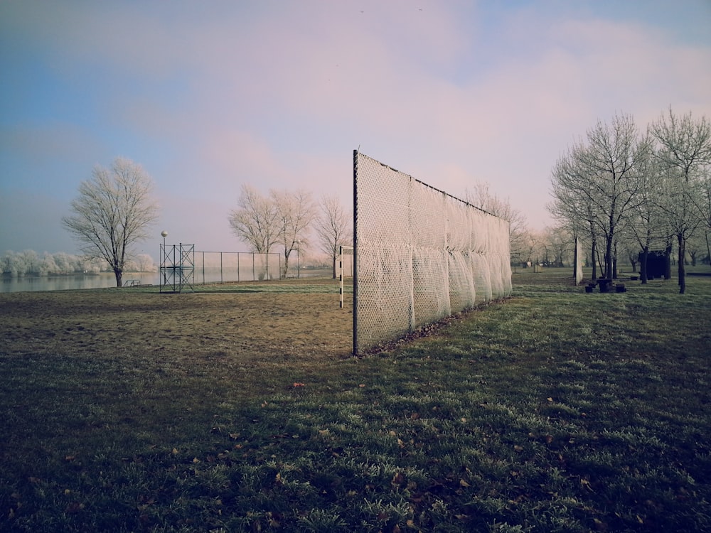 landscape of lawn grass