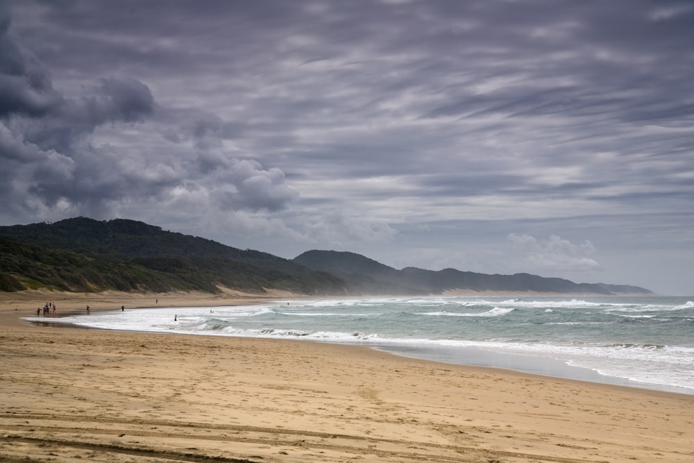 photo of people walking in seashore