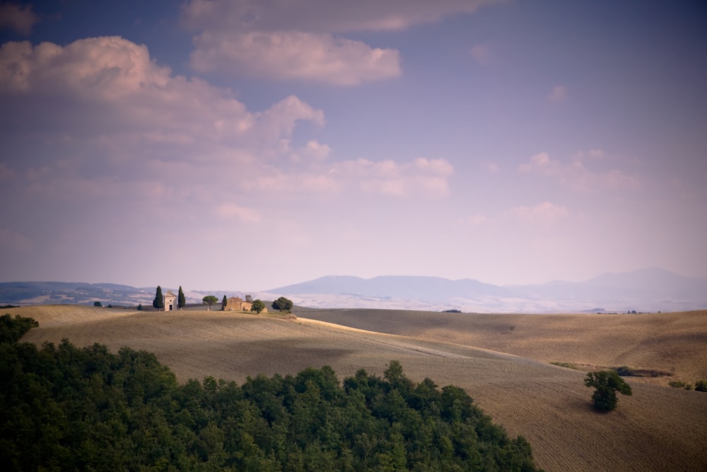 green trees on hill at daytime