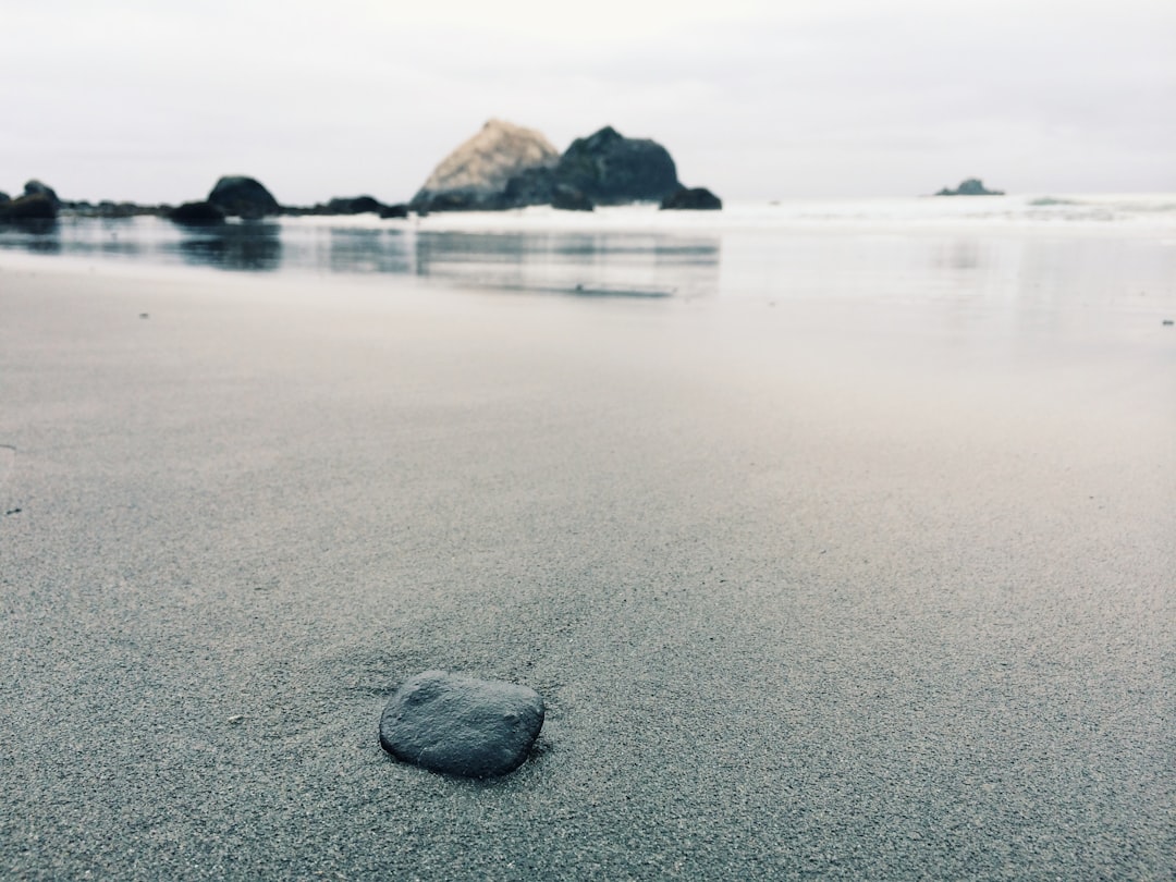 Beach photo spot 14700 Redwood Hwy United States