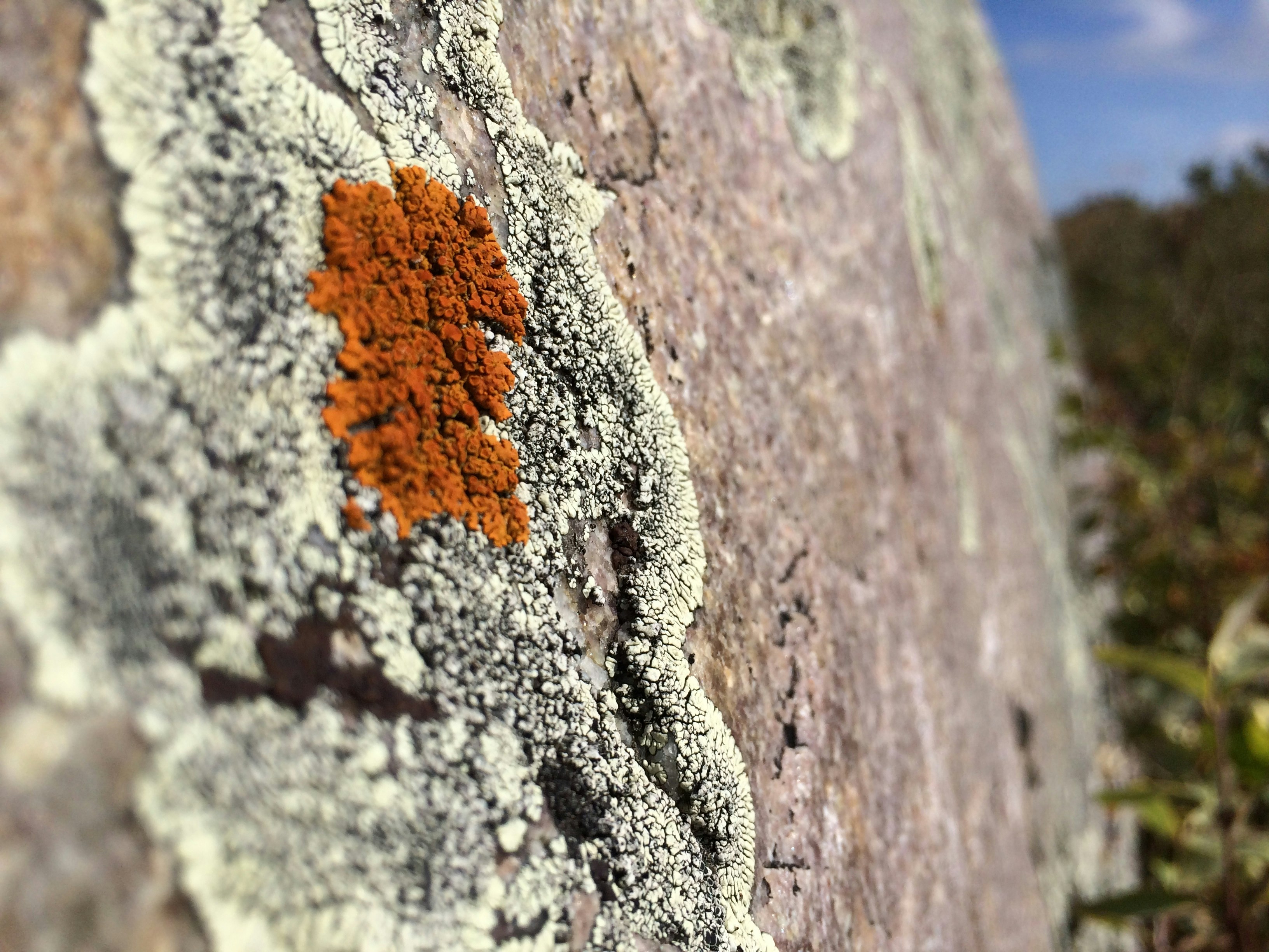 Free Unsplash photo from Kelly Seminoff