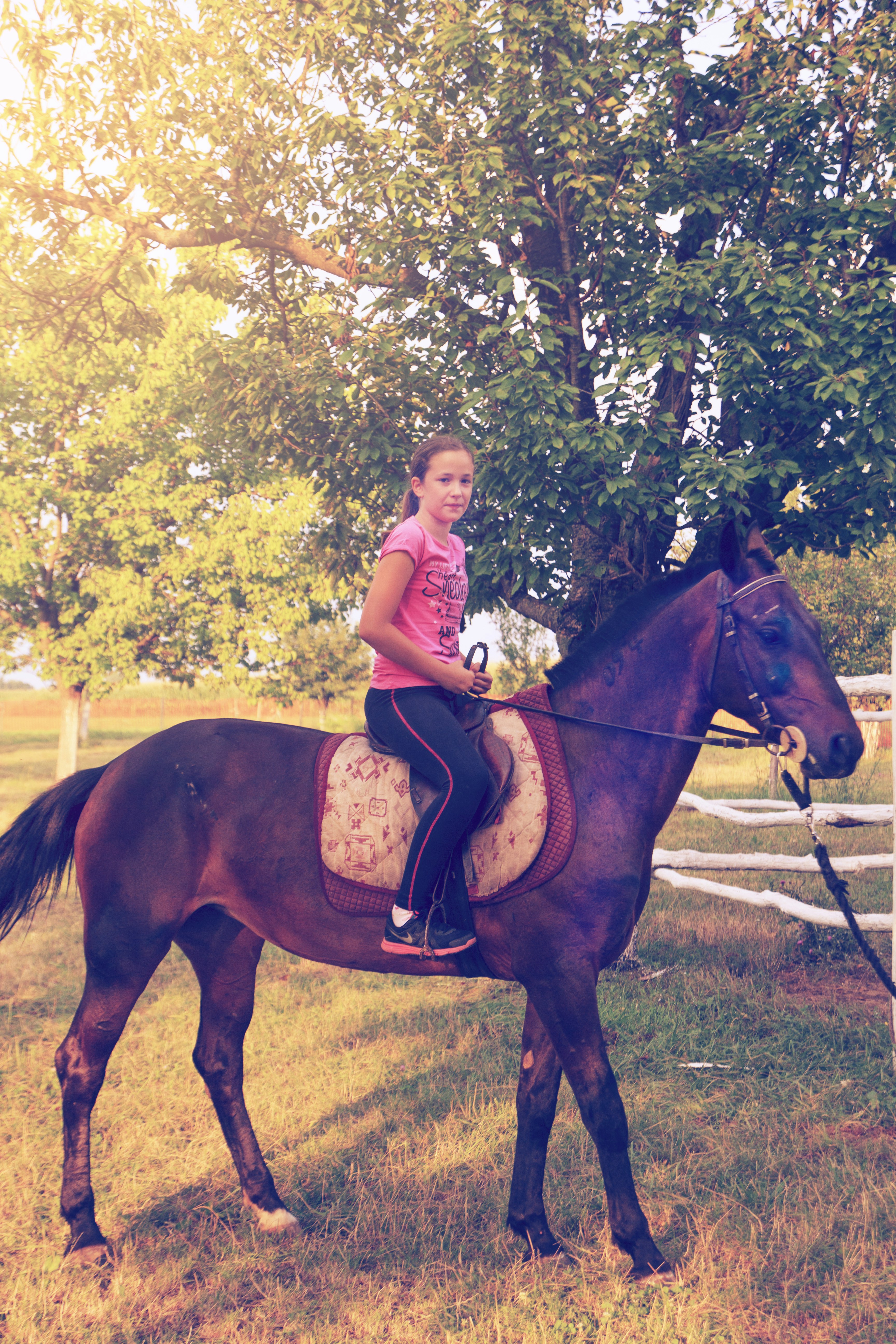 Free Unsplash photo from Srđan Caha