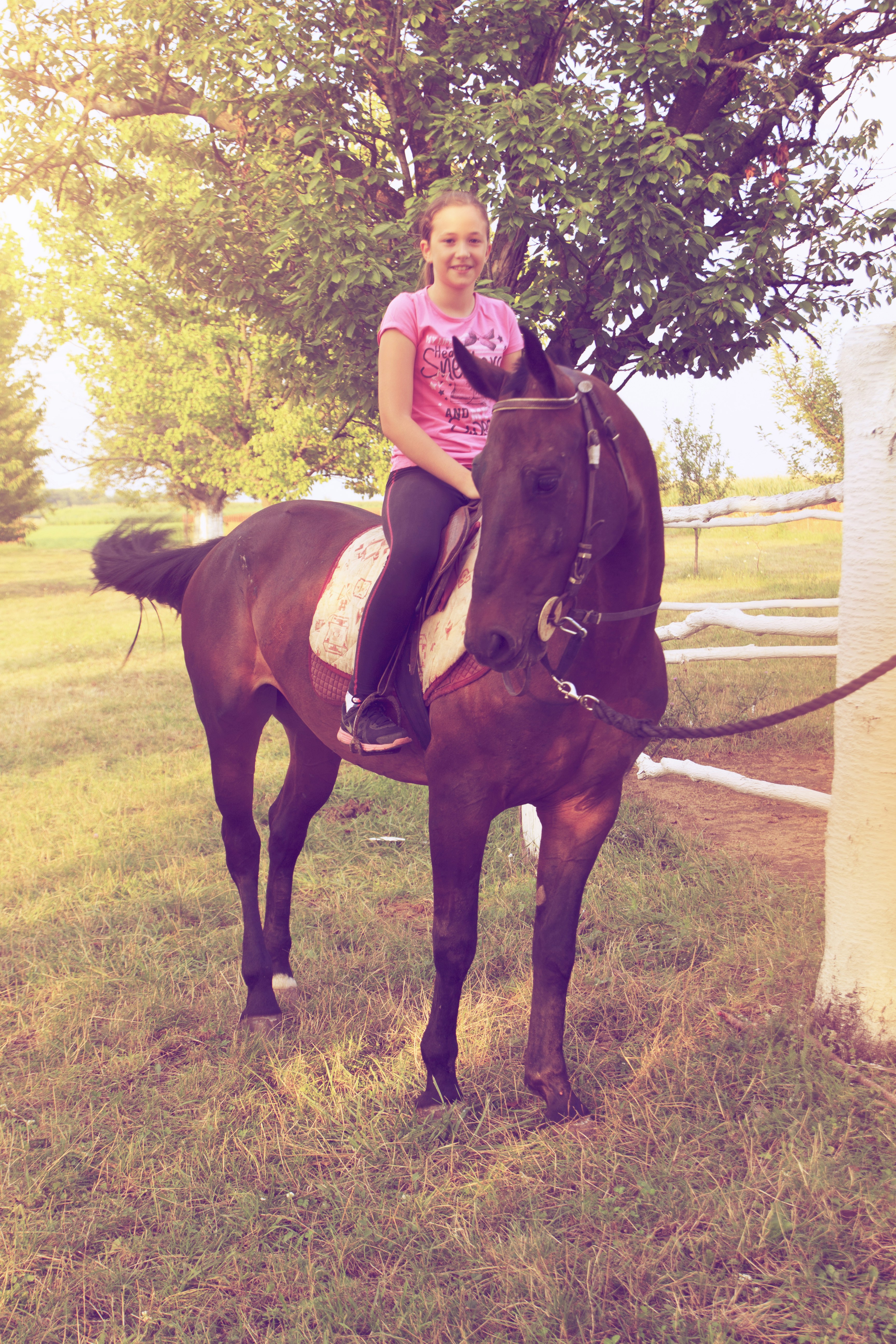 Free Unsplash photo from Srđan Caha