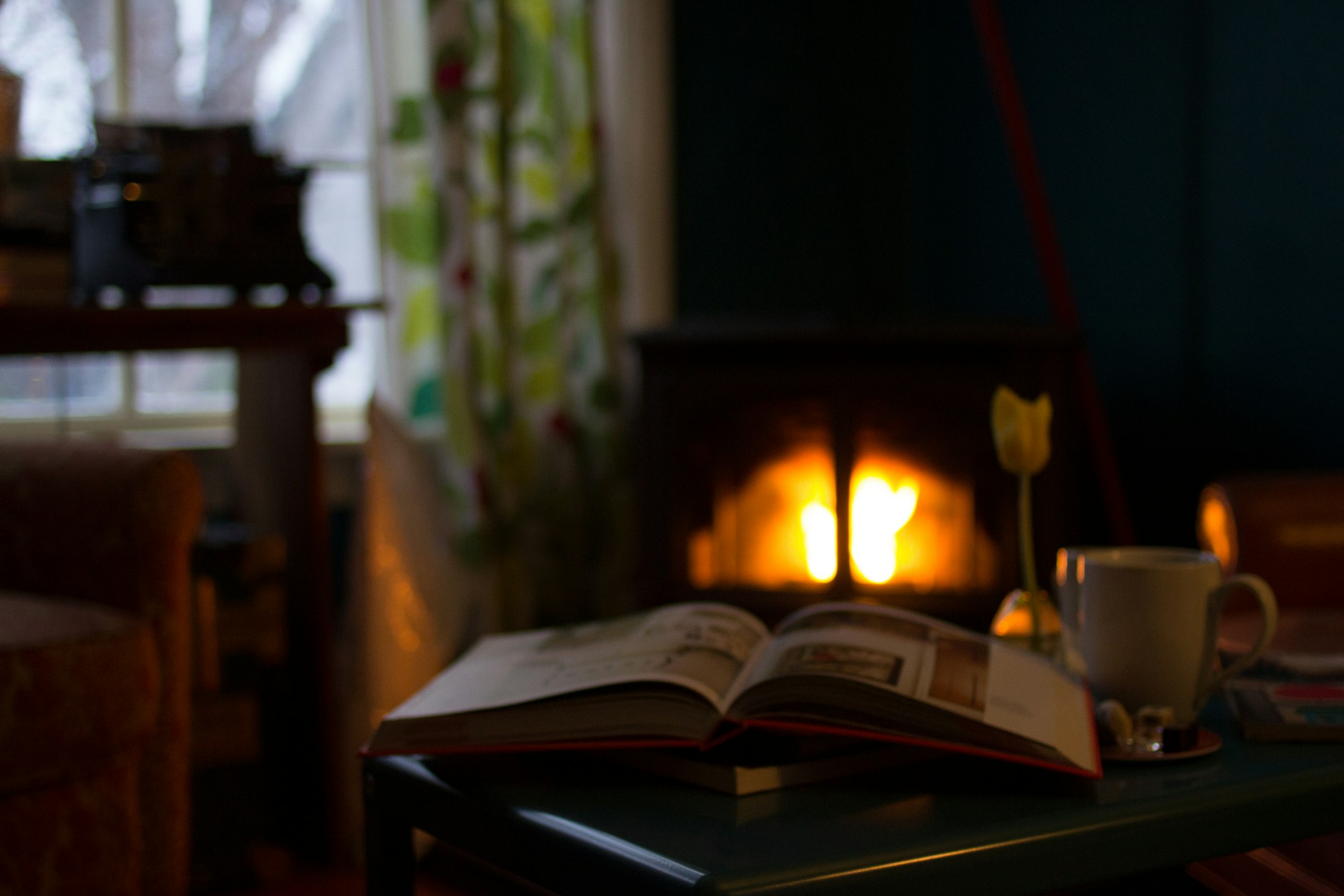 Cozy book in front of fireplace