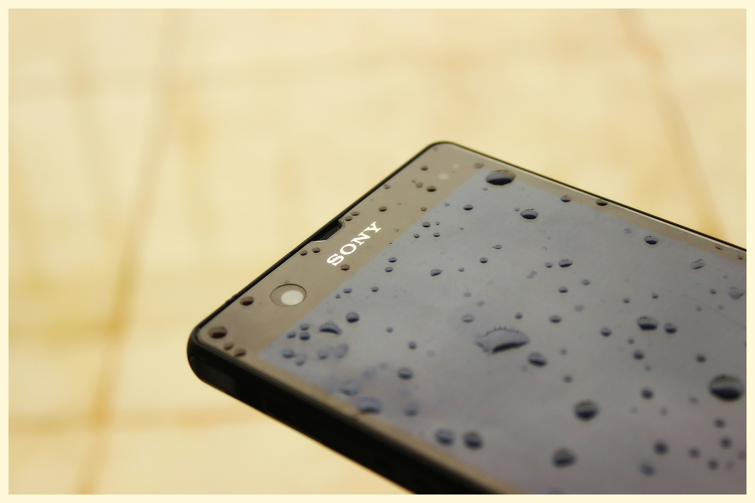 Free Unsplash photo from Arun George