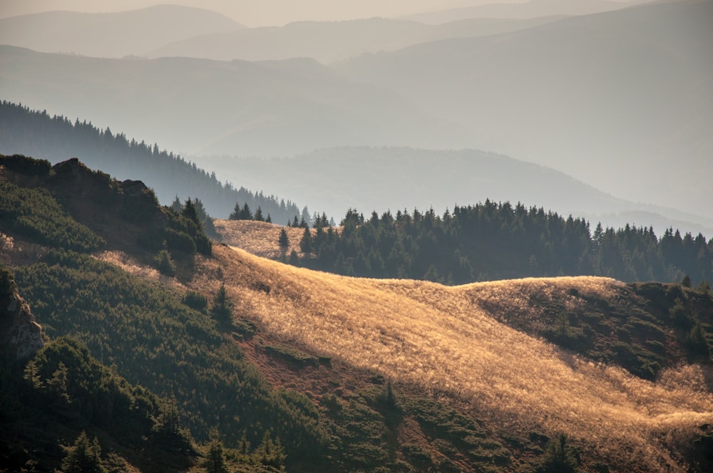 landscape photography of mountains