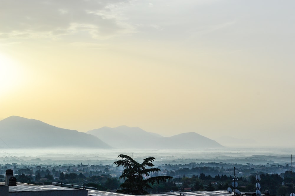 fog covering the mountains and city