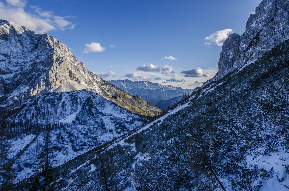 Fotografía de montaña helada