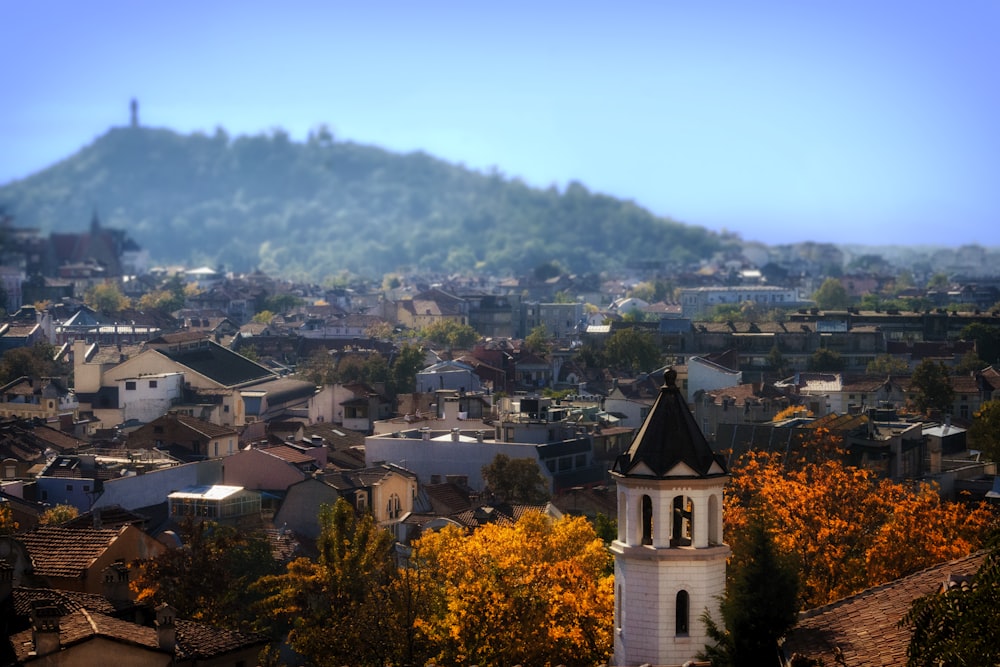 Photographie aérienne de maisons près de la montagne