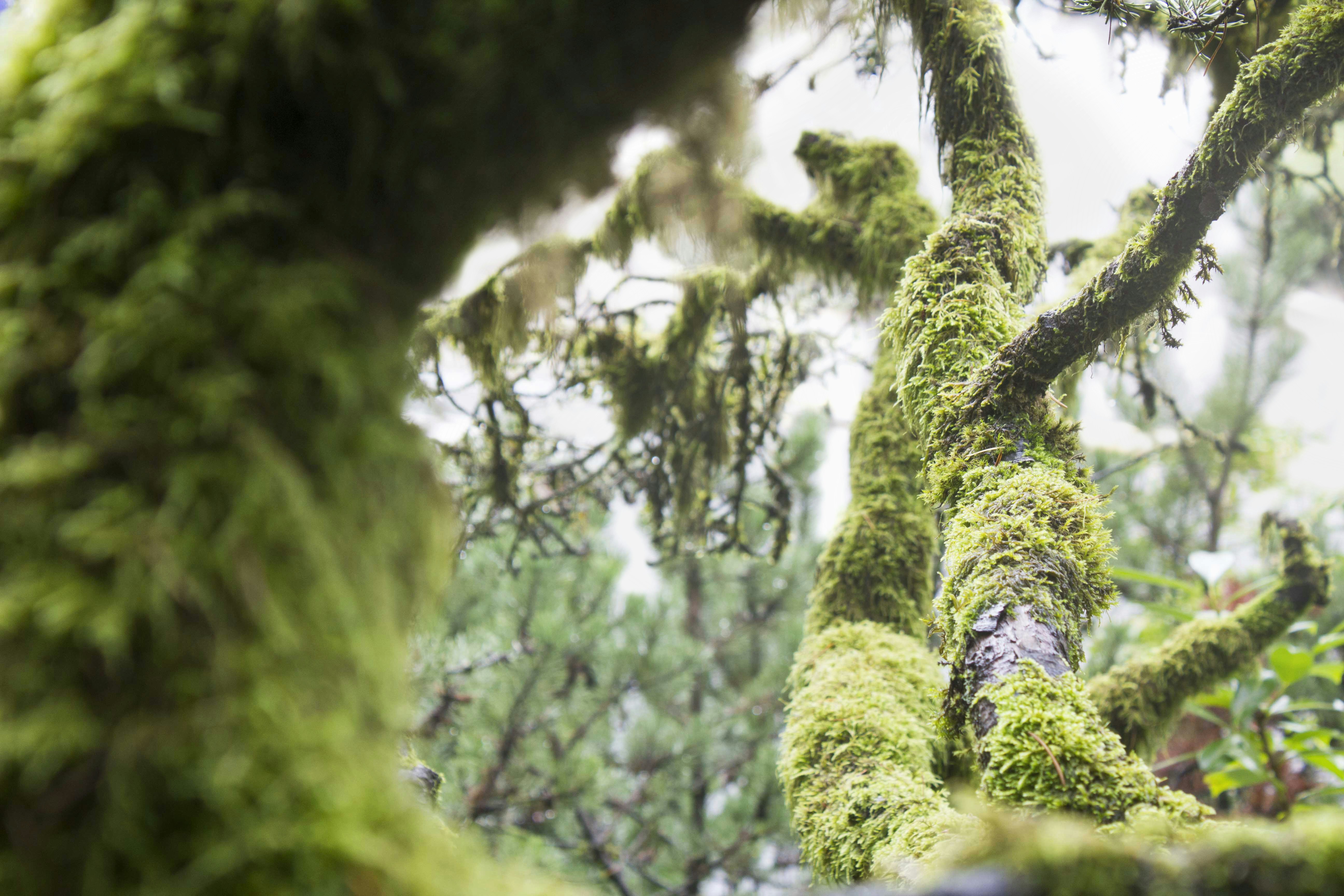 Free Unsplash photo from J Yun