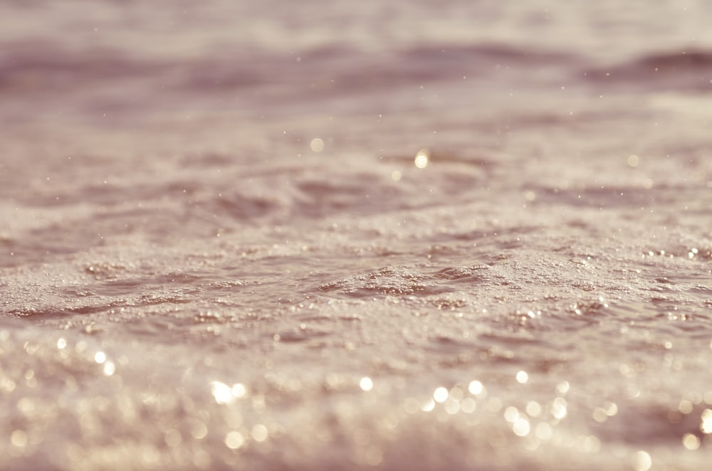 Close-up of raindrops falling on a body of water