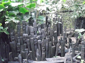 Dark wooden carvings with abstract, face-like features are arranged in a densely packed formation. The structures are surrounded by lush green tropical foliage and set against a stone wall, creating a naturalistic and mysterious atmosphere.