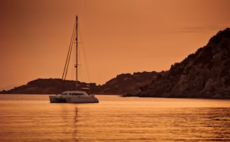 white catamaran sailing during sunset