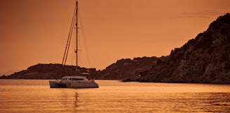 white catamaran sailing during sunset