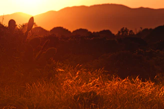 Sunset over Monterrey's iconic Cerro de la Silla with warm orange hues lighting the sky.