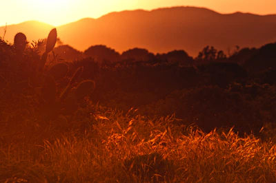 Sunset over Monterrey's iconic Cerro de la Silla with warm orange hues lighting the sky.