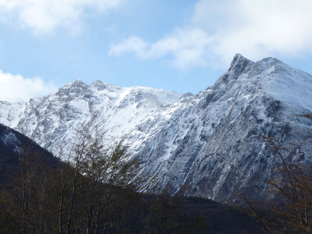 昼間の雪に覆われた山