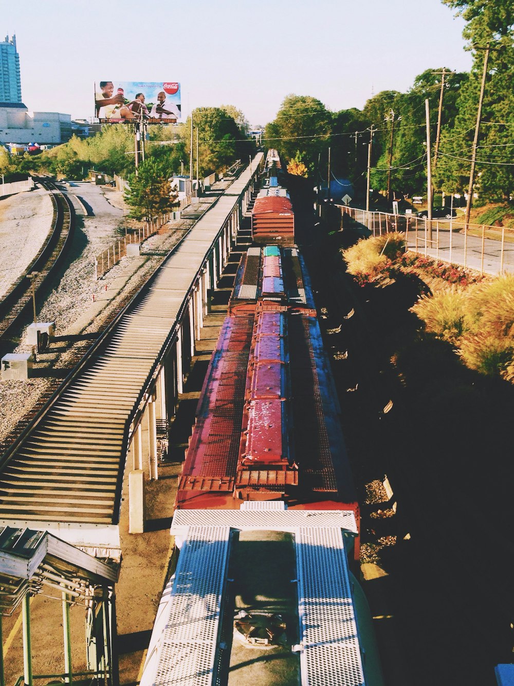 Tren sobre raíles