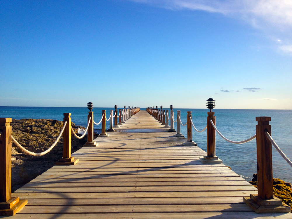 Muelle de madera marrón durante el día