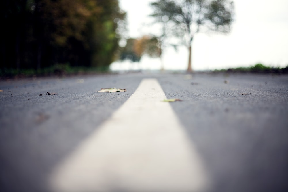 closeup photography of middle of the road