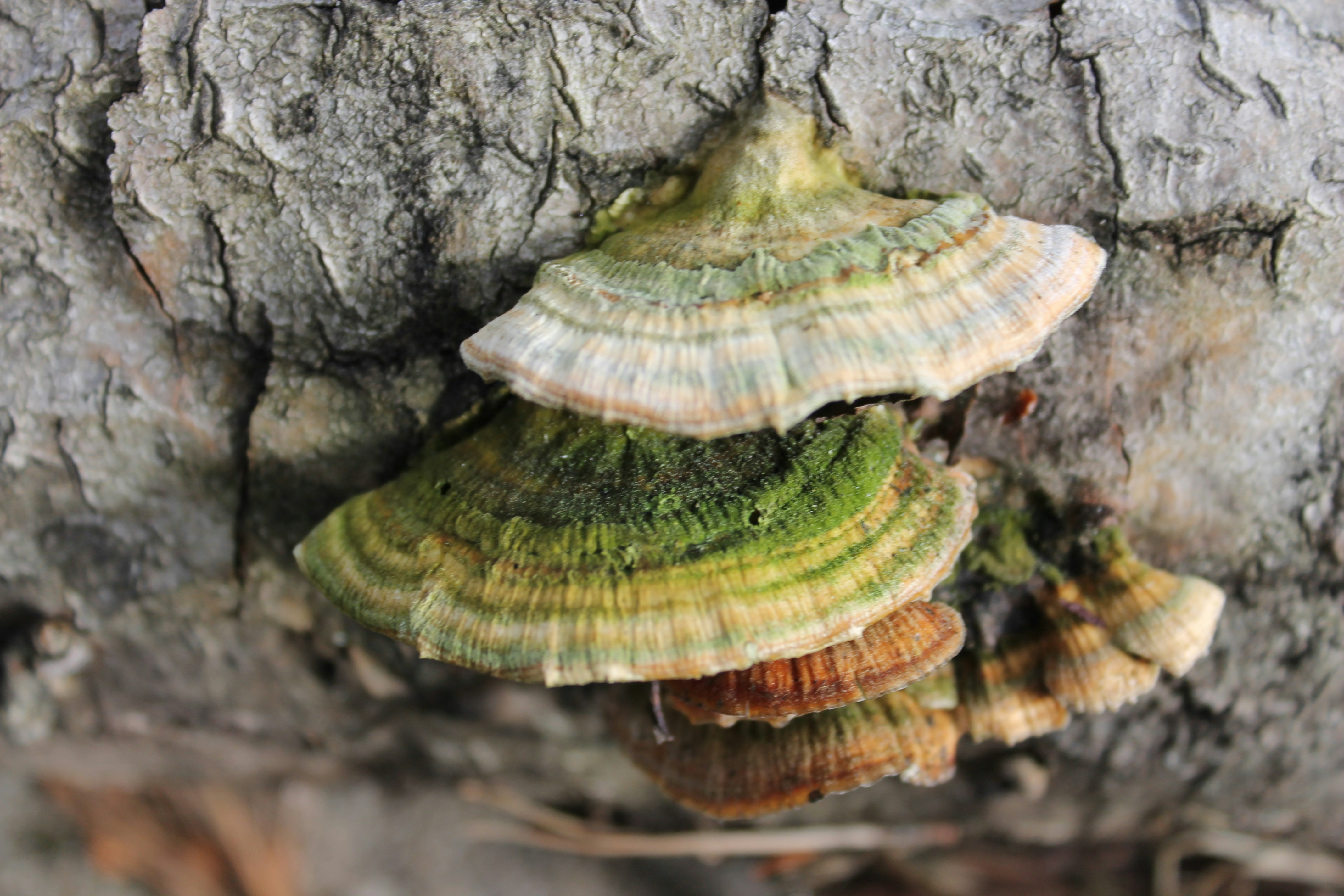 Free Unsplash photo from Vidar Kristiansen