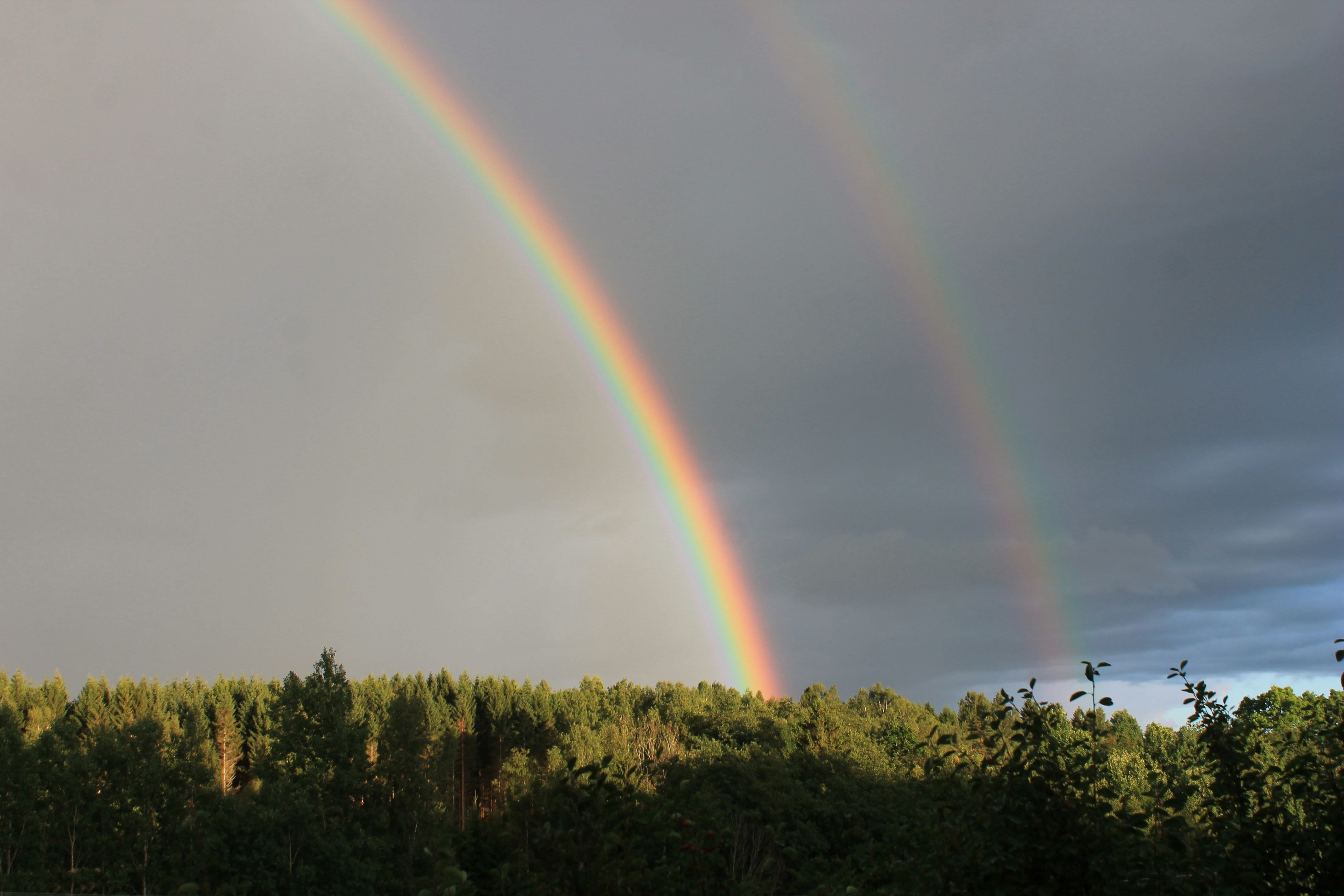 Free Unsplash photo from Vidar Kristiansen