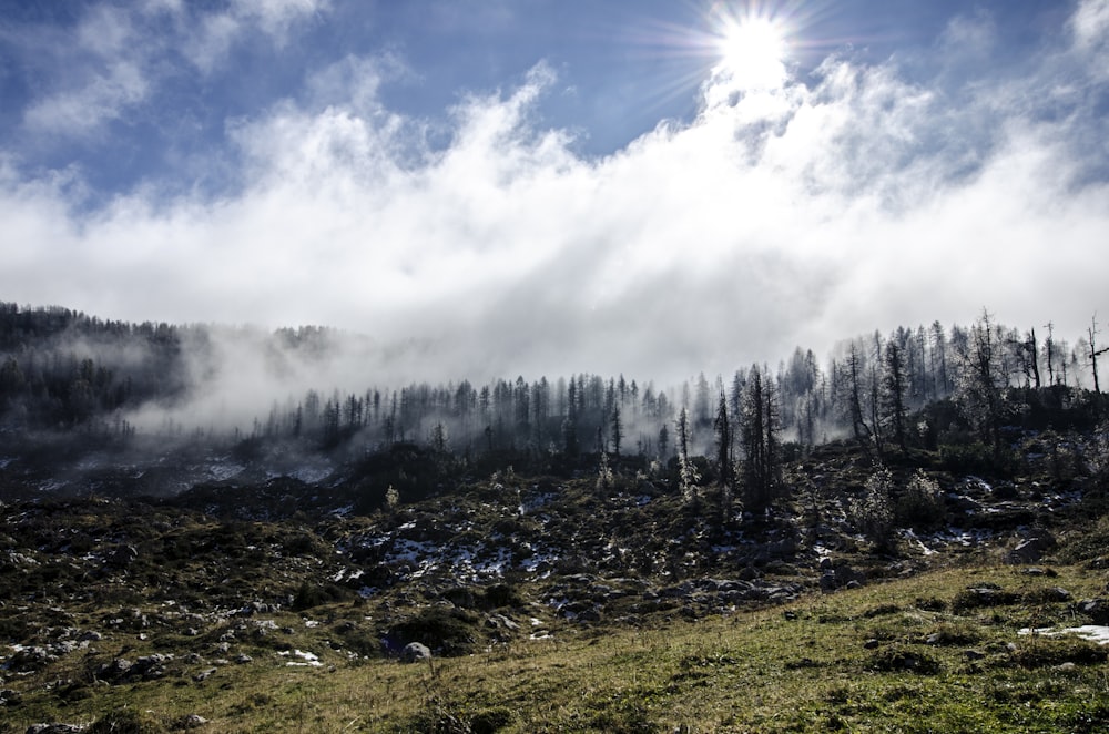 tree covered mountain under white cloudy sky during daytime