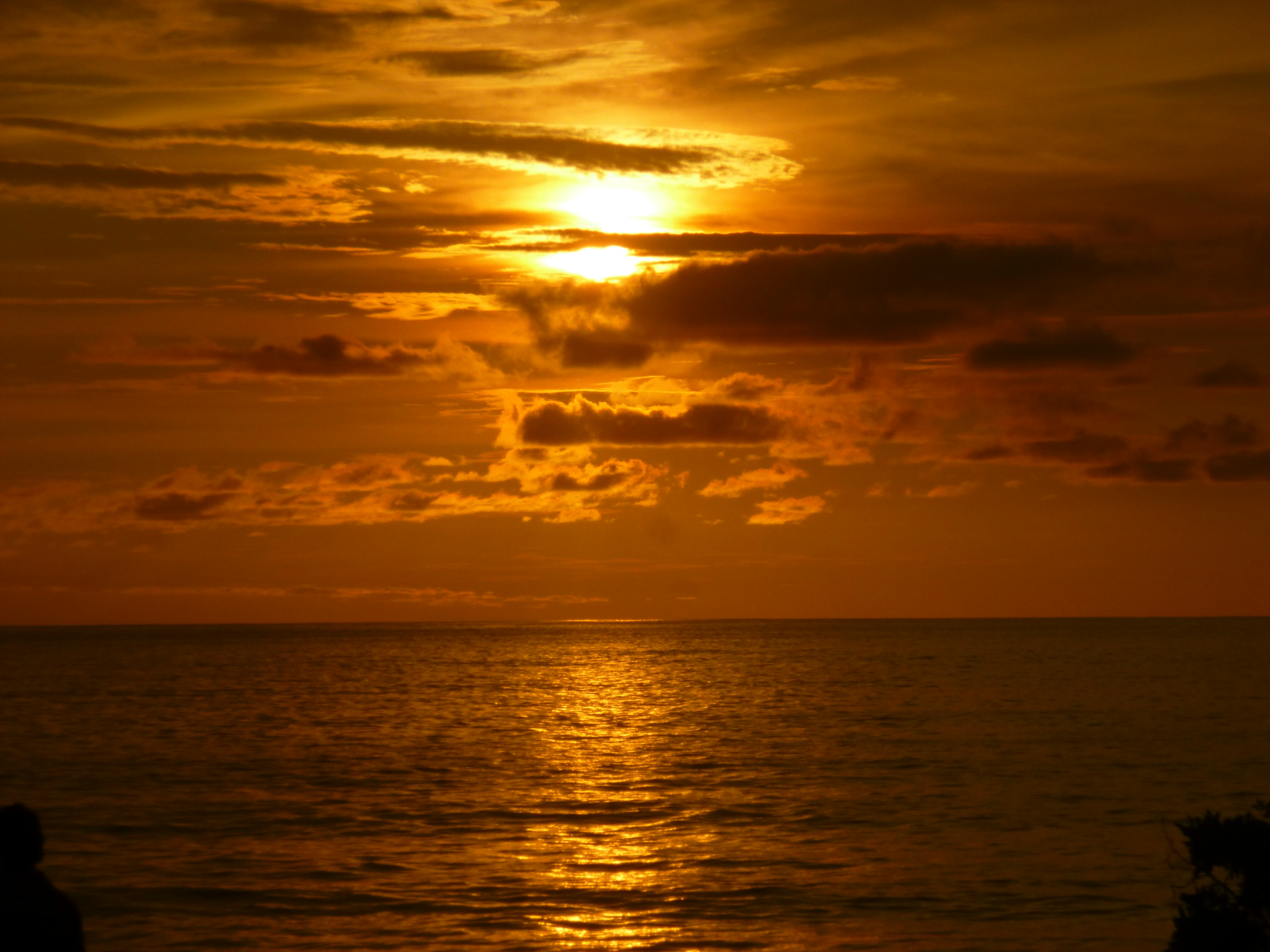 Free Unsplash photo from cindy del valle