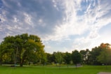 A panoramic view of a landscaped park with green lawns and shaded benches.