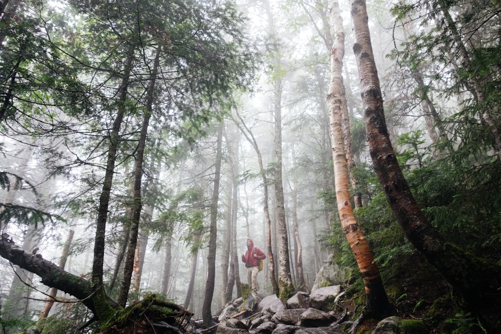 man standing surrounded by trees