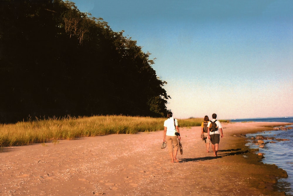 Mujer y dos hombres de pie en la orilla del mar junto a los árboles