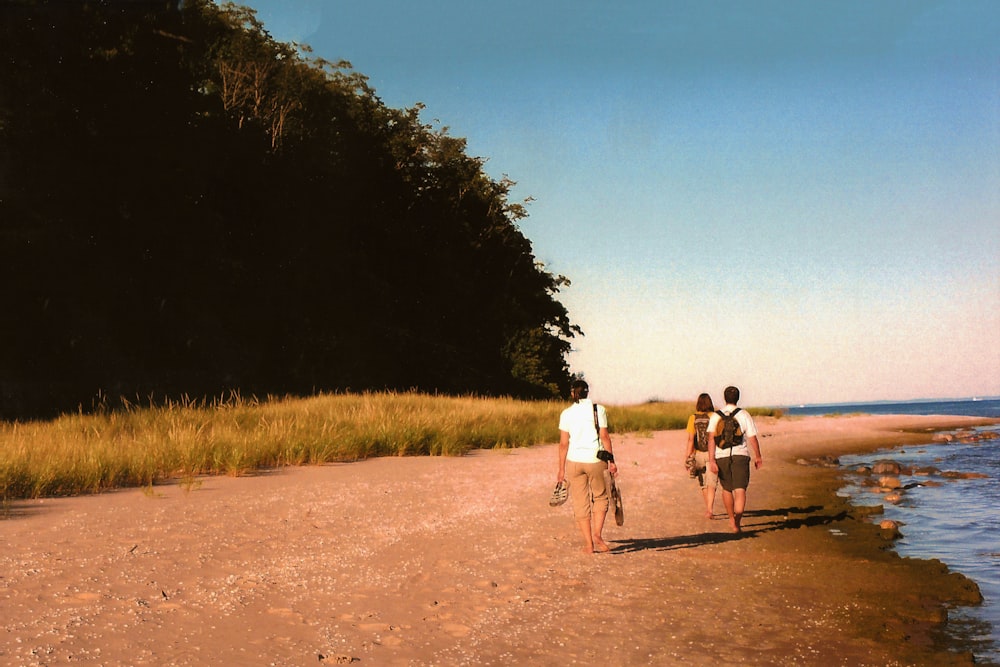 woman and two men standing on seashore beside trees