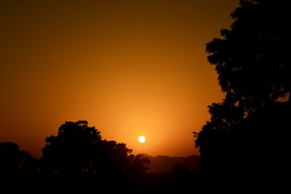 silhouette of trees and setting sun