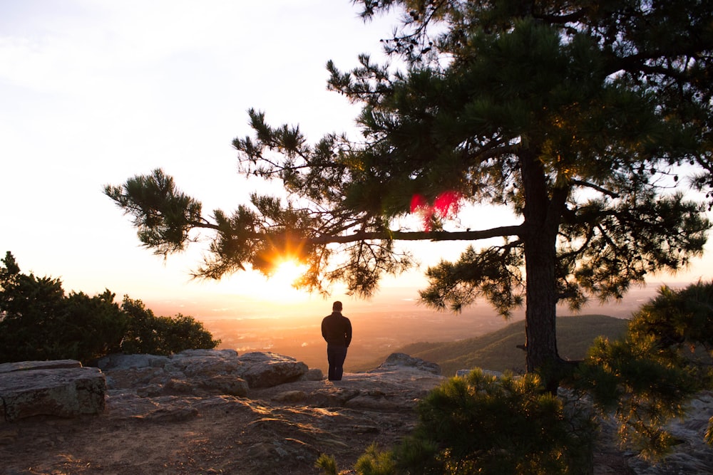 Silhouettenfoto eines Mannes, der in der Nähe von Bäumen steht und Hügel beobachtet