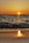 body of water wave photo during golden time